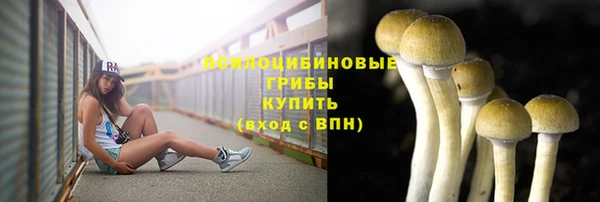 спиды Тында